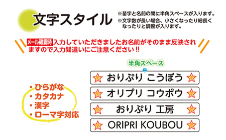 剥がし跡が残らない 防水お名前シール 縦横セット 244枚入り F6U-117