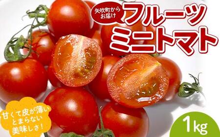 プチっと甘みがはじける!とにかく美味しい フルーツミニトマト 1kg おやつやビールのおつまみにも! F6U-168