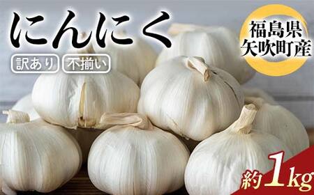 訳あり 不揃いにんにく約1kg（6片ホワイト）ニンニク 規格外 福島県 矢吹町産 F6U-340