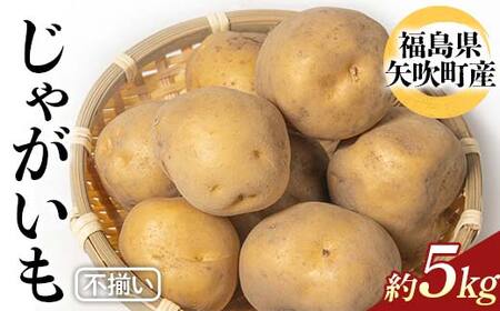 不揃いじゃがいも(品種トウヤ)約5kg ジャガイモ 訳あり 規格外 福島県 矢吹町産 F6U-341