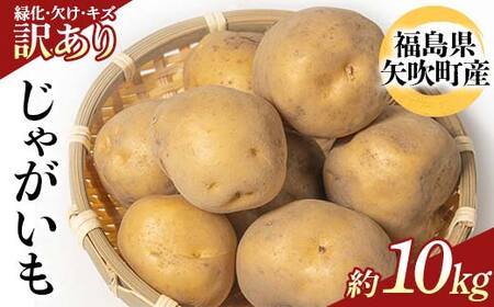 不揃いじゃがいも（品種トウヤ）約10kg ジャガイモ 訳あり 規格外 福島県 矢吹町産 F6U-342