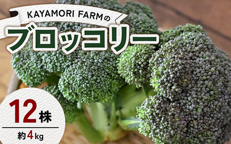 KAYAMORI FARMのブロッコリー 12株（約4kg） F6U-376