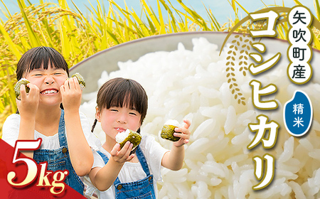 矢吹町産 コシヒカリ 令和7年産米 精米5kg F6U-402
