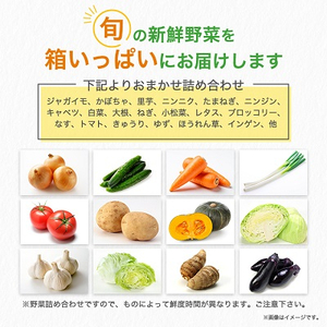 旬の野菜詰め合わせセット(石安米肥店)【配送不可地域：離島】【1017731】