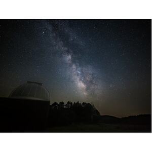 鹿角平観光牧場キャンプ場利用券【1392720】