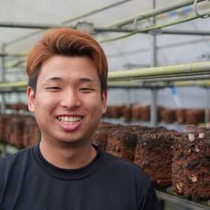 さめがわドリームきのこ園 肉厚ジャンボしいたけ(800g)【配送不可地域：離島】【1684145】