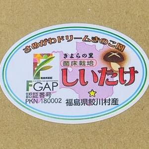 さめがわドリームきのこ園 肉厚ジャンボしいたけ(800g)【配送不可地域：離島】【1684145】