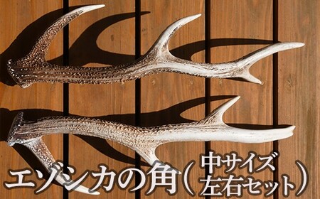 エゾシカの角（中サイズ、左右セット） 【 ふるさと納税 人気 おすすめ ランキング エゾシカ えぞ鹿 蝦夷しか 蝦夷鹿 角 中 鹿角 用途自在 左右  天然 オブジェ アクセサリー 贈答 贈り物 ギフト プレゼント 北海道 福島町 送料無料 】 FKB009 | 北海道福島町 | ふるさと ...