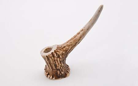 蝦夷鹿角（天然） 蝦夷鹿角（天然）R7.初 蝦夷鹿の角