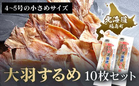 大羽するめ 4～5号 10枚セット 【 ふるさと納税 人気 おすすめ ランキング するめ スルメ いか イカ するめいか スルメイカ 大羽 干物 健康 おつまみ するめのまち 贈答 贈り物 ギフト プレゼント 北海道 福島町 送料無料 】 FKK013