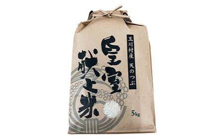 令和7年度産 新米 天のつぶ 5kg 福島県玉川村産 こめ コメ オリジナルブランド米 FT18-274