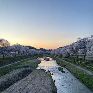 小桜ちゃんぬいぐるみ【1022719】