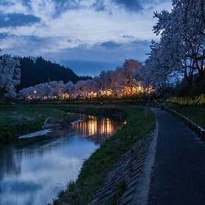 小桜ちゃんぬいぐるみ【1022719】