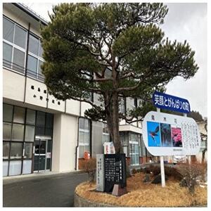 小桜ちゃんぬいぐるみ【1022719】