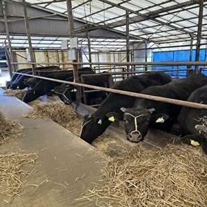 【小町の里・幸牛】黒毛和牛サーロインステーキ　200g　2枚【配送不可地域：離島】【1039370】