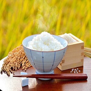 令和7年産福島県小野町産ひとめぼれ10kg(5kg×2袋)精米【1629174】