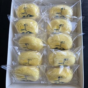 月ごころ10個入り【1630860】