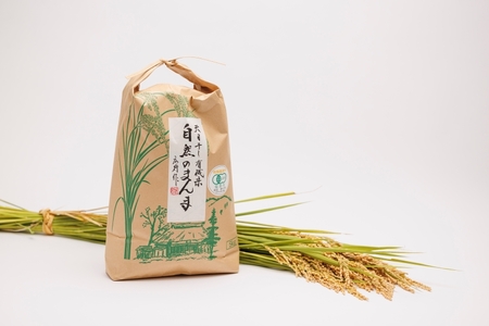 福島県産コシヒカリ 10kg 天日干し 福島県産コシヒカリ 10kg 天日干し