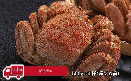 【26年4月発送開始】かに太郎 定期便Dセット(毛ガニ、アスパラ、赤肉メロン、白くまコーン)全4回 | 毛ガニ _01599