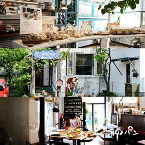 【地元TV 雑誌で多数紹介】人気NO.1!全粒粉 100%の 食パン 3本セット【 パン ぱん 食品 王様のパン 北海道 旭川市 】_00111 ●