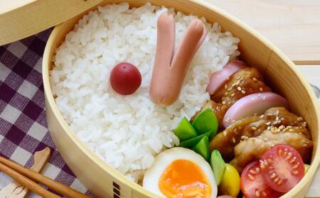 【令和7年】 5Kg 東旭川産無洗米ななつぼし ジュニア野菜ソムリエおすすめ! |ななつぼし 北海道 限定_01154