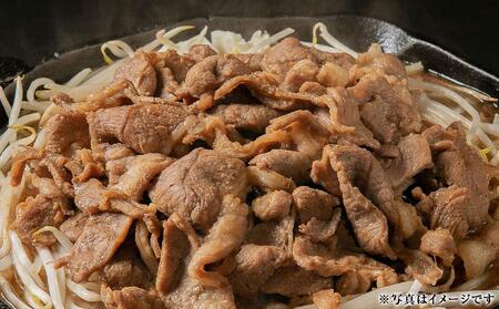 肉屋が作った!2種の味付けジンギスカン 300g×6パック計1.8kg | ジンギスカン 北海道_03367