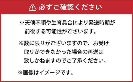 【先行予約】朝採り グリーンアスパラ L 1kg (2024年5月下旬発送予定) 【 アスパラ アスパラガス グリーンアスパラ 朝採り 直送 産地直送 旬 春 北海道 とれたて お取り寄せ 冷蔵配送 冷蔵 旭川市 送料無料 】_03901