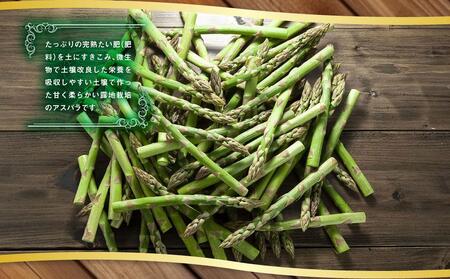 【2026年先行予約】露地物朝採りアスパラ　鮮度保持フィルム入り　Lサイズ　400g×2　合計800g(5月中旬発送開始予定) | アスパラ 北海道_03818