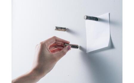 枝のマグネット、プッシュピン各2本_03847