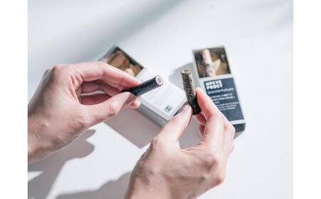 枝のマグネット、プッシュピン各2本_03847