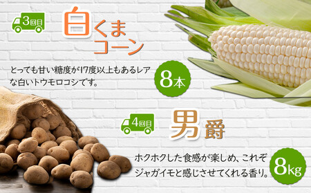 【26年5月発送開始】かに太郎 定期便Kセット（アスパラ、赤肉メロン、白くまコーン、男爵、無添加鮭イクラ醤油漬け）全5回 | 定期便 北海道_03824