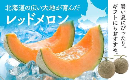 【先行予約】 香り豊かな 北海道レッドメロン 2.0kg×2玉(2025年7月下旬発送予定)  | メロン　メロン　メロン　メロン　メロン _04541