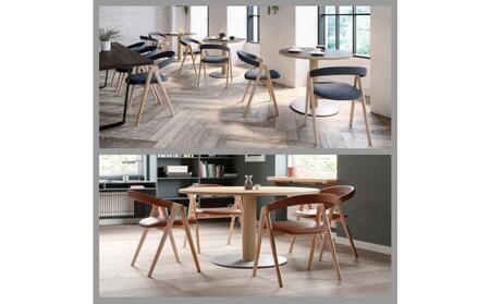 旭川家具 カンディハウス SAN チェアー 北海道カバWNF/ロンシャンCGY_04310