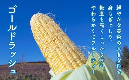 【先行予約】黄金色で大粒 ゴールドラッシュ 8本 3.2kg（2026年8月下旬から発送開始予定）| とうもろこし とうもろこし 北海道 限定_04560