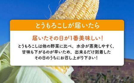 【先行予約】黄金色で大粒 ゴールドラッシュ 8本 3.2kg（2026年8月下旬から発送開始予定）| とうもろこし とうもろこし 北海道 限定_04560