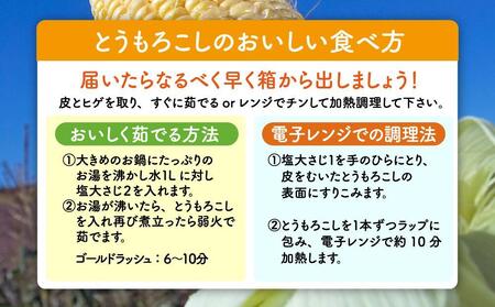 【先行予約】黄金色で大粒 ゴールドラッシュ 8本 3.2kg（2026年8月下旬から発送開始予定）| とうもろこし とうもろこし 北海道 限定_04560
