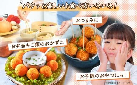 【北の大地から】一口 コロッケ かぼちゃ 2kg