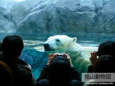 【旭川市】JTBふるさと旅行券（450,000円分）有効期間5年 | 予約 宿泊 観光 体験 温泉 ホテル 旅館 チケット 子供 子連れ カップル 家族 店頭 電話 旭川