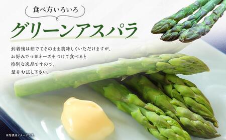 【先行予約】朝採り グリーンアスパラ L 500g (2026年5月下旬発送開始) | アスパラ 北海道_04657