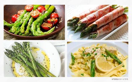 【先行予約】朝採り グリーンアスパラ L 500g (2026年5月下旬発送開始) | アスパラ 北海道_04657