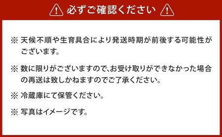 【先行予約】朝採り グリーンアスパラ L 500g (2026年5月下旬発送開始) | アスパラ 北海道_04657