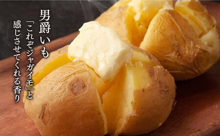 【先行予約】秋の味覚　男爵いも・玉ねぎ・かぼちゃ1玉　合計8kg (2026年10月上旬から発送開始) |玉ねぎ_04757