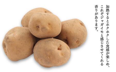 【先行予約】“ホクホク”男爵いも4kg・“甘みたっぷり”玉ねぎ4kg★8kgセット★(2026年9月下旬から発送開始) | 玉ねぎ_04758