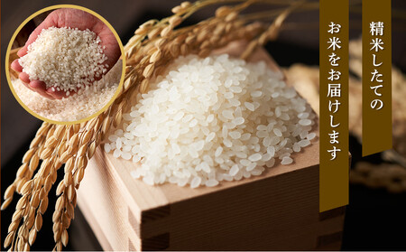 【特Aランク】令和7年 北海道産ゆめぴりか・ななつぼし食べ比べセット 10kg(各5kg) | ゆめぴりか_04809