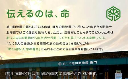 ジグソーパズル　200P　オランウータン2003 【 旭山動物園 公式 グッズ パズル おもちゃ ホビー 北海道 旭川 】_04604