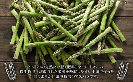 【2026年先行予約】露地物朝採りアスパラ　鮮度保持フィルム入り　Lサイズ　500g×1(5月中旬発送開始予定) | アスパラ 北海道_04750