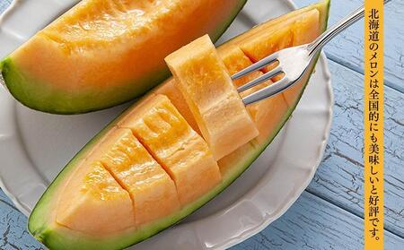 【先行予約】北海道産赤肉メロン　1玉入り　1.6kg前後（2026年7月中旬から発送開始）| メロン _04752