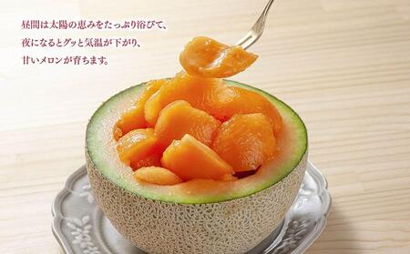 【先行予約】北海道産赤肉メロン　1玉入り　1.6kg前後（2026年7月中旬から発送開始）| メロン _04752