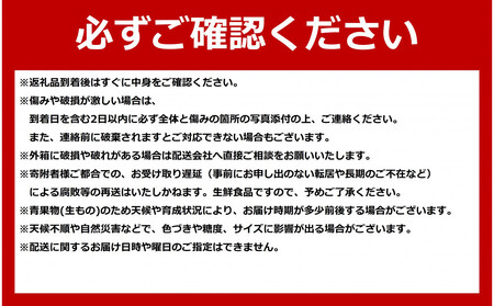 【先行予約】北海道赤肉メロン 2kg 1玉入り(2026年7月中旬から発送開始)| メロン _04753