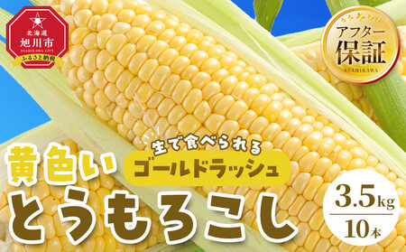 【先行予約】旭川近郊産　黄色いとうもろこし(ゴールドラッシュ) 3.5kg(10本) 2026年8月上旬から発送開始 | とうもろこし 北海道 限定_04842